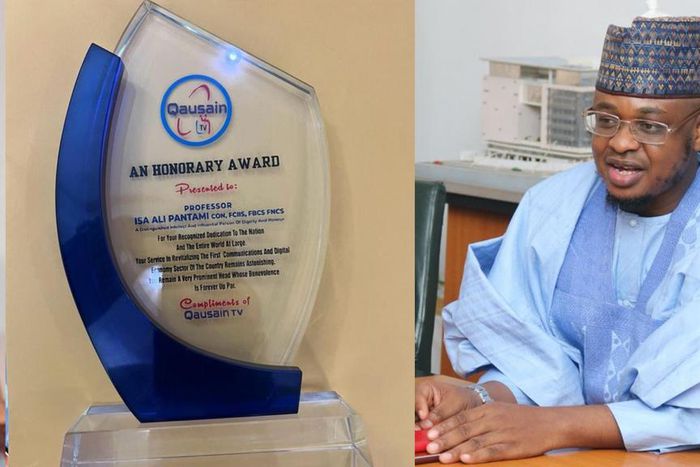 Pantami wins Award of Excellence for contributions to digital economy