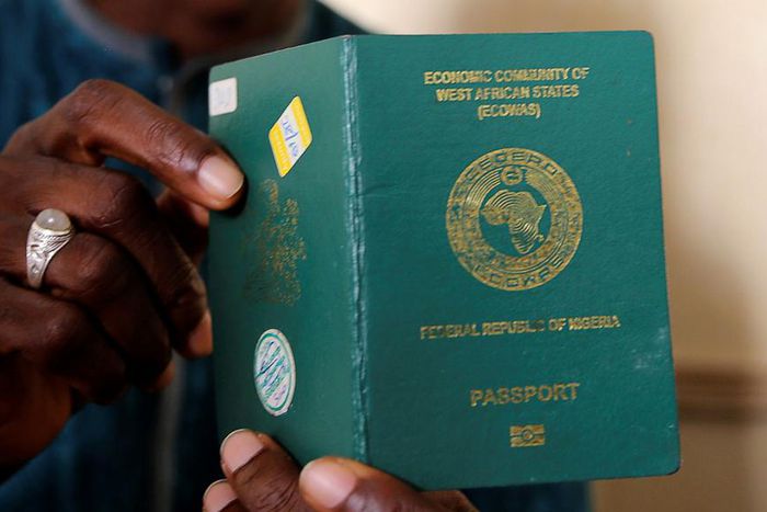 The Nigerian passport [The Sun Nigeria]