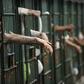Sister gets 6 months imprisonment for smuggling phones to jailed brother