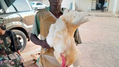 He could not give a reason for his deed [X/AdamawaPoliceNG]