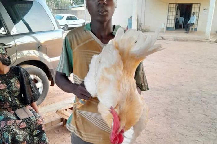 He could not give a reason for his deed [X/AdamawaPoliceNG]