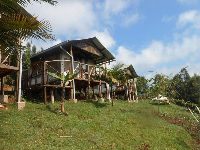 Aberdare Cottages and Fishing Lodge