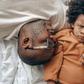 How parents unknowingly choose their favourite child/Pexels