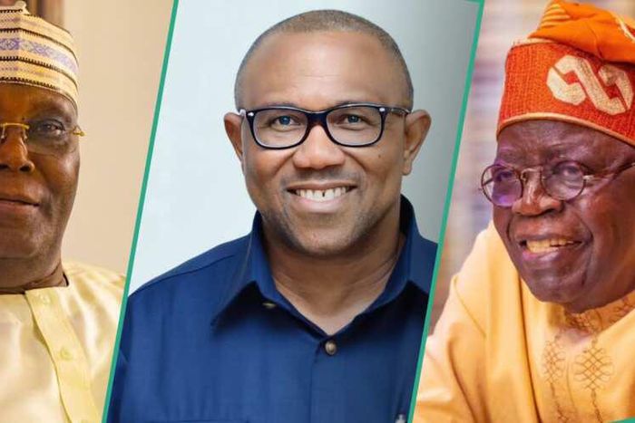 Atiku, Obi, Tinubu [Legit.ng]