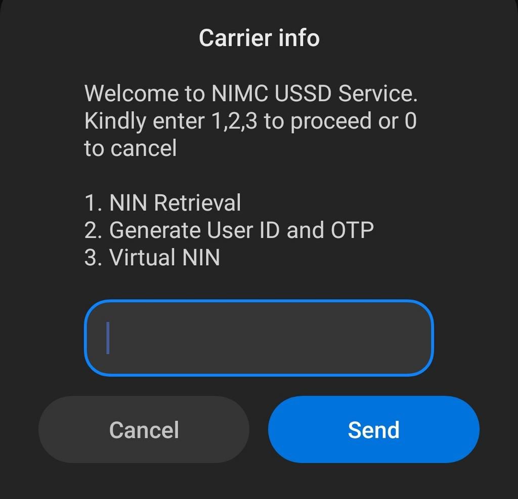 Select “NIN Retrieval”, by typing in ‘1’ in the box provided [Pulse Nigeria]