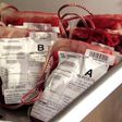 Units of blood