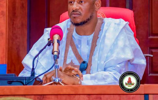 Governor Dikko Radda of Katsina State. [X:@dikko_radda]