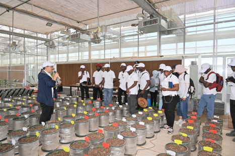 What Nigeria can learn about agricultural development from my China field trip