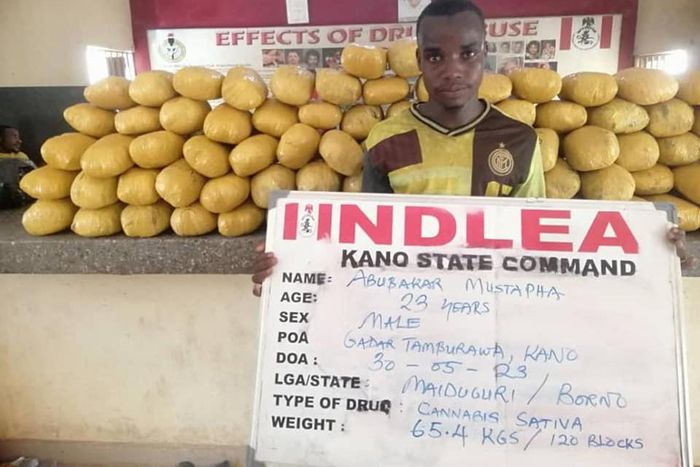 Illicit drugs seized from suspects. [Facebook:NDLEA]