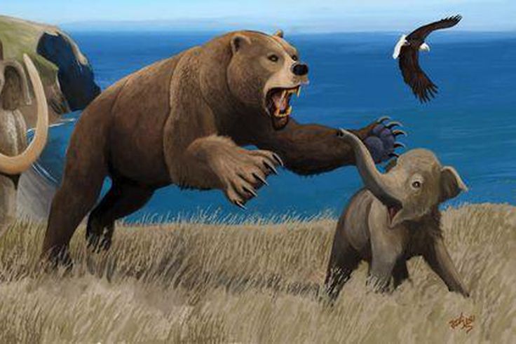 Thes animals are now extinct [Diego]