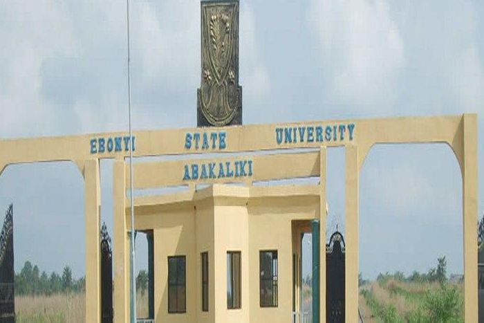 Ebonyi State University