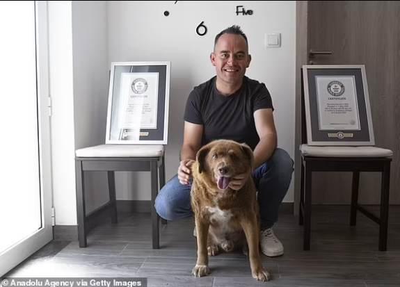 Bobi and his loving owner, Leonel Costa [DailyMail]