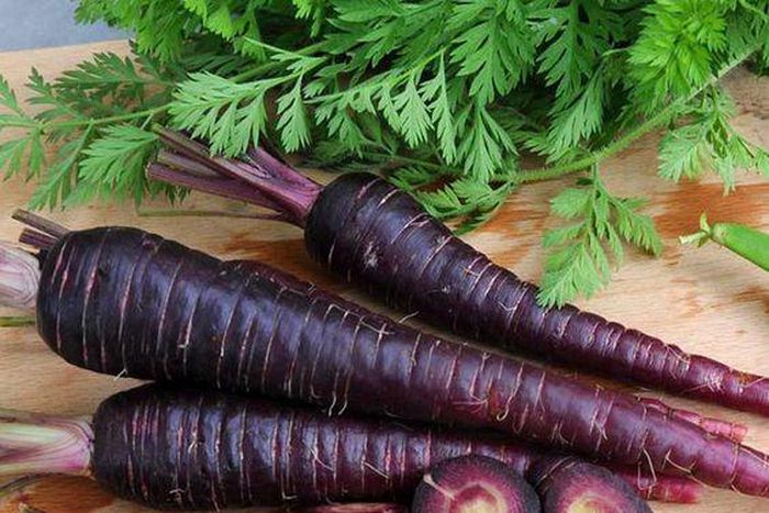 Carrots were once purple [Pinterest]