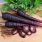 Carrots were once purple [Pinterest]