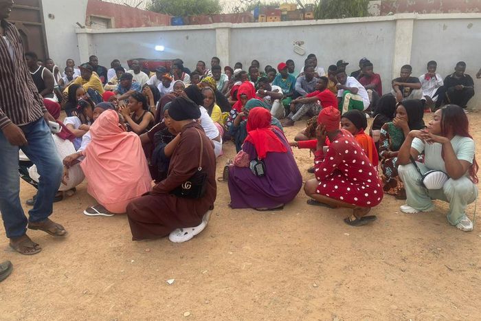 Suspects arrested by the NDLEA [NAN]