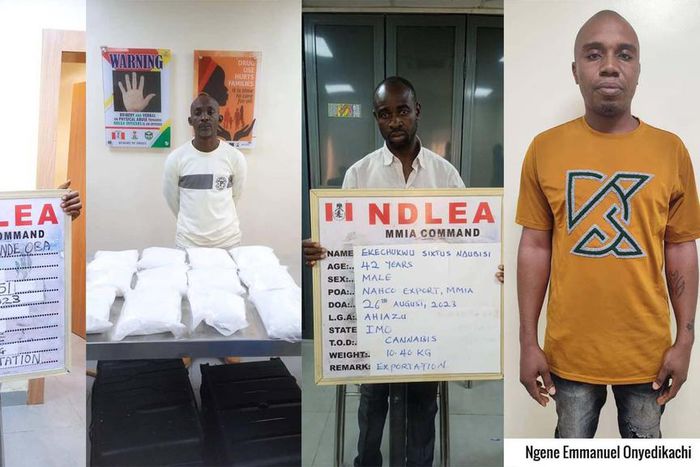 NDLEA intercepts skunk, laughing gas consignments at Lagos airport. [NDLEA:Facebook]