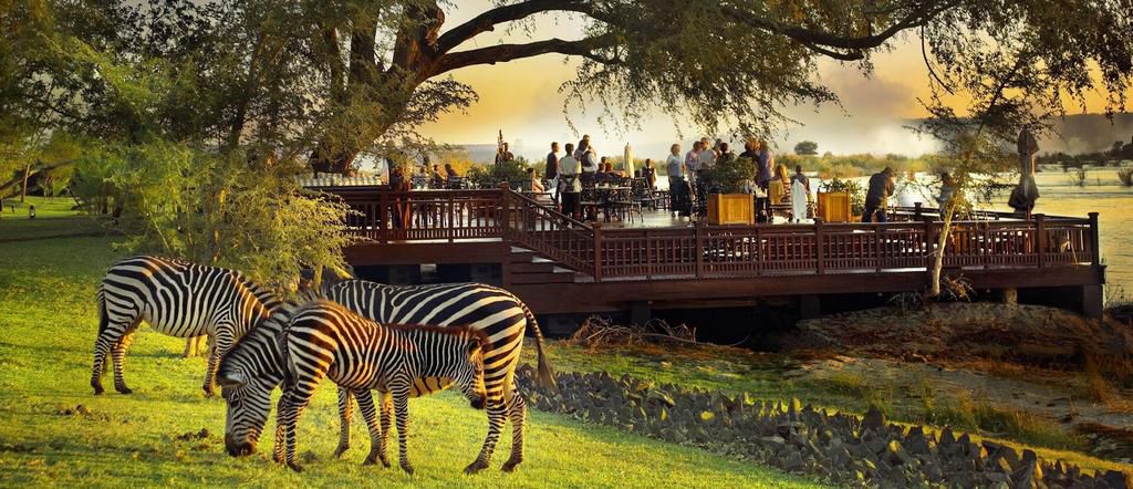 Royal Livingstone, Zambia