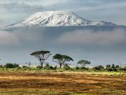 Mt Kilimanjaro in Tanzania is the highest peak in Africa [Followalice]