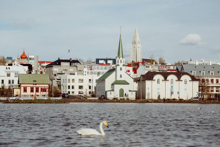 Reykjavik Traveler's Guide