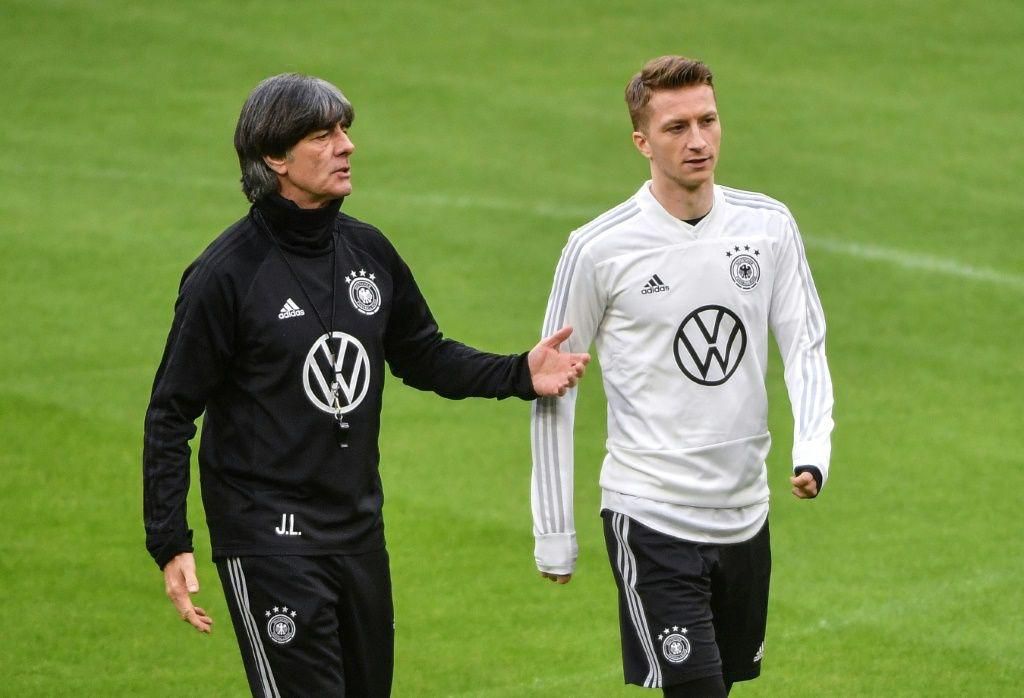 Marco Reus (R) has been unfortunate with injuries.