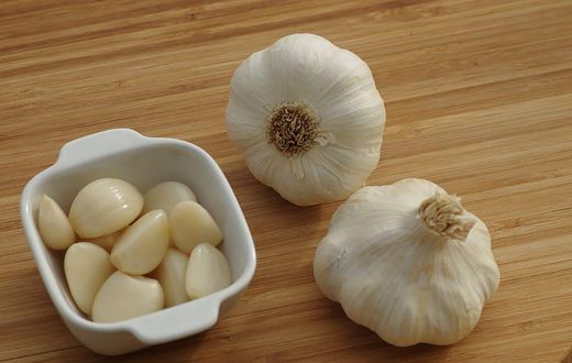 Garlic