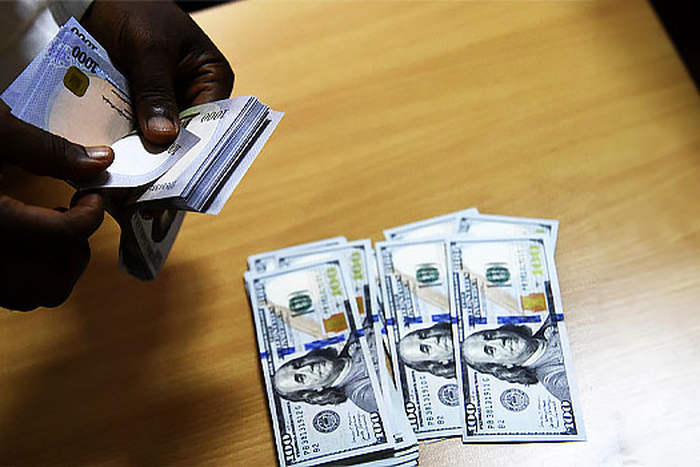 FG pledges to stabilise Forex [Channels TV]