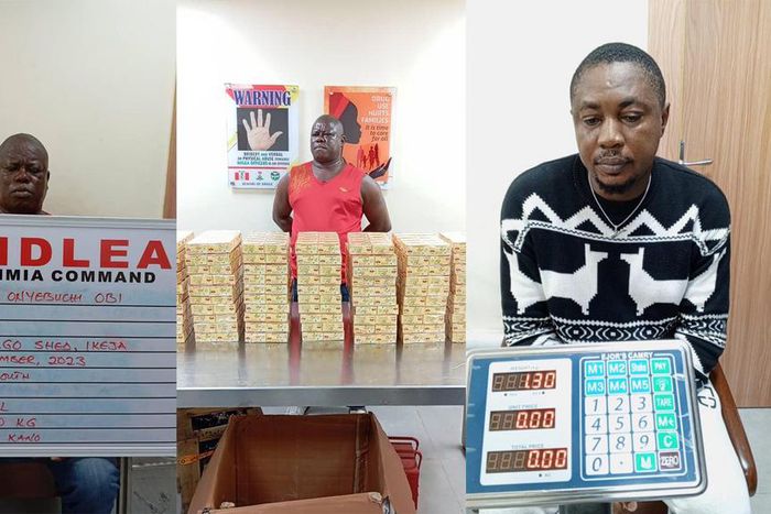 NDLEA arrests Qatar-based businessman, others over drug trafficking [Facebook:NDLEA]