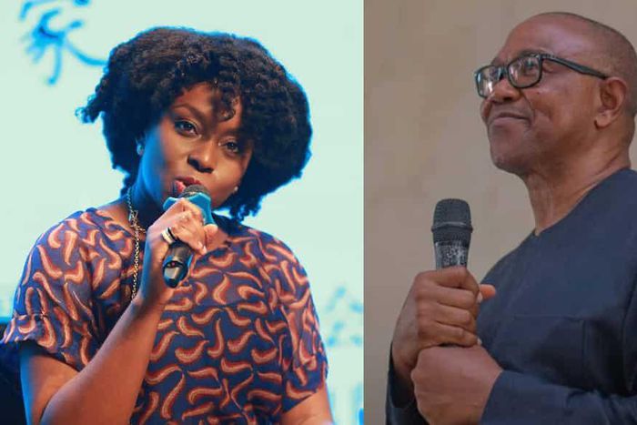 Chimamanda Adichie, Peter Obi [ABN TV]