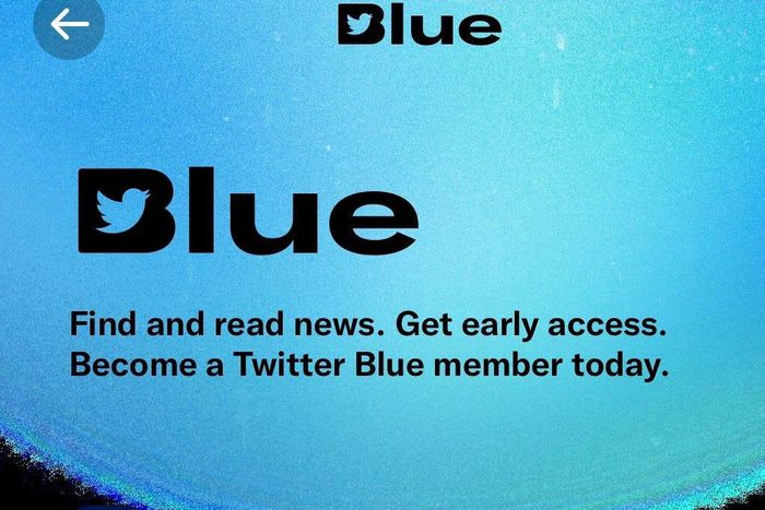 Click the Subscribe button at the bottom to sign up for Twitter Blue.Will Fischer