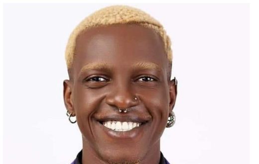 Former Big Brother housemate Hermes wants to be added to the ongoing Al Stars show