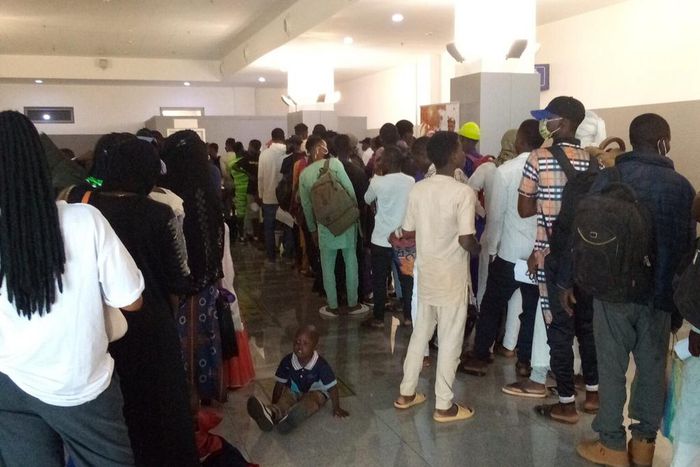 146 stranded Nigerians from Niger republic