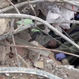 10-year-old Turkish boy rescued after 100 hours under rubble. [timesofisrael]