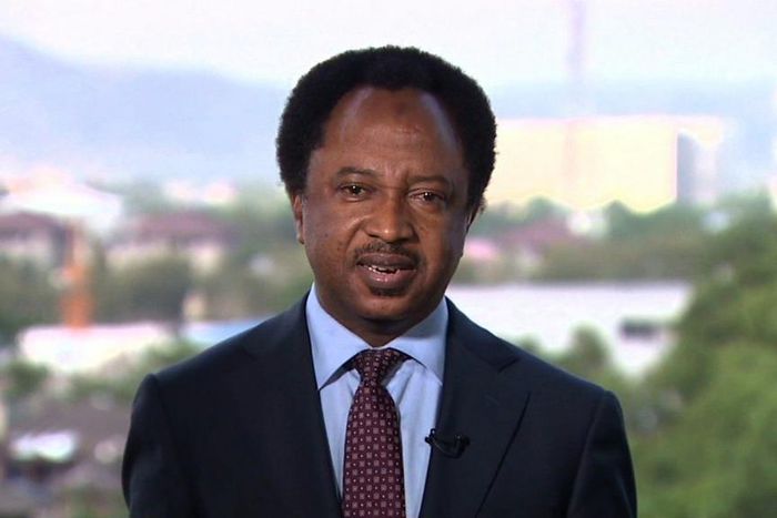 Senator Shehu Sani