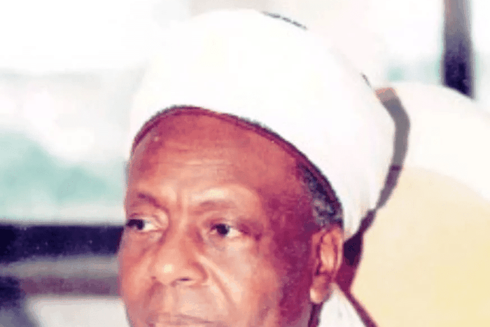 Amb Shehu Malami (TheNewsChronicle)