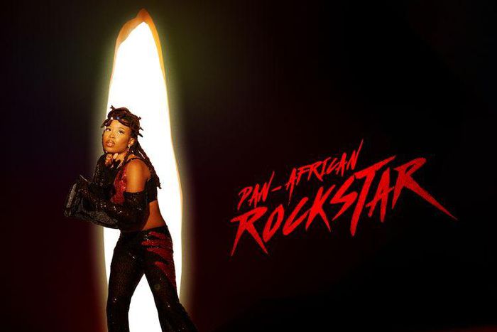 A Pulse review of 'Pan Africanist Rockstar' by Lady Donli