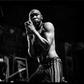 Seun Kuti