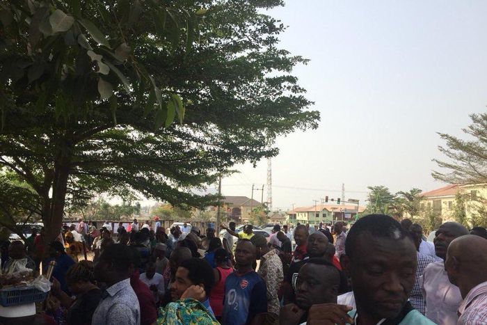 Voters in FCT 2019 elections (Twitter/@chosensomto)