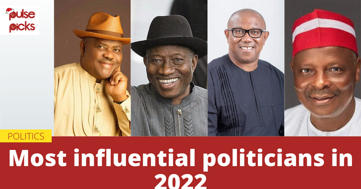 Pulse Picks: Most influential politicians in 2022 | Pulse Nigeria