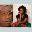 You deserve great deal of pity and sympathy - Dele Alake replies Chimamanda