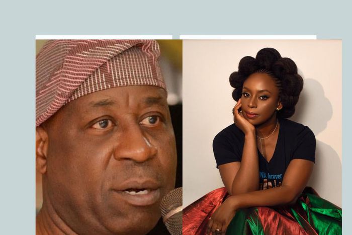 You deserve great deal of pity and sympathy - Dele Alake replies Chimamanda
