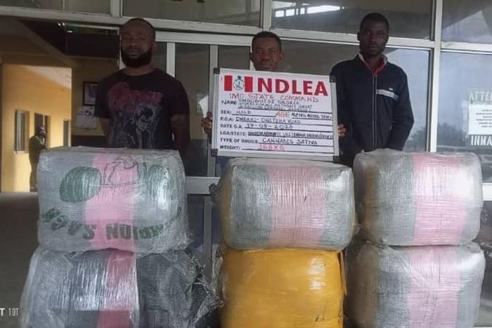 NDLEA recovers hard drugs worth N4.8b during raid on Lagos warehouse. [Facebook:NDLEA]