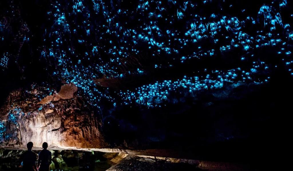 Glowworm Caves, New Zealand [NormadicMatt]