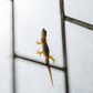 Lizards roaming your space can be annoying [Housing]