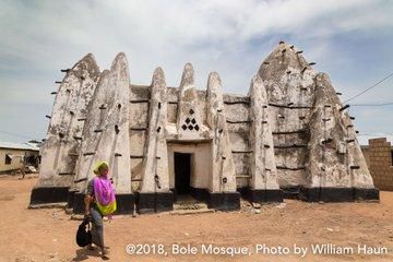 The bole mud Mosque [williamhaun]