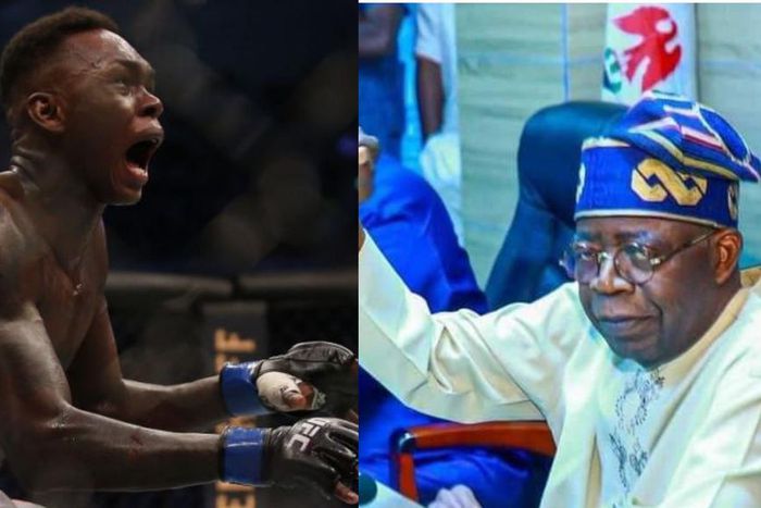 We didn't stop believing in you - Tinubu tells Adesanya after comeback win.