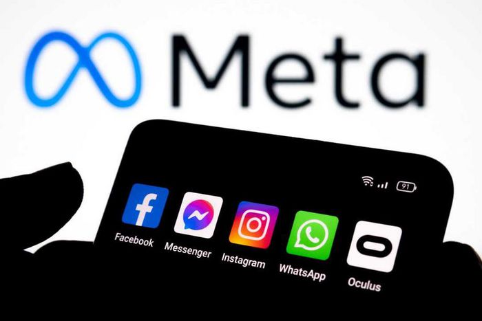 Meta platforms [Pymntscom]