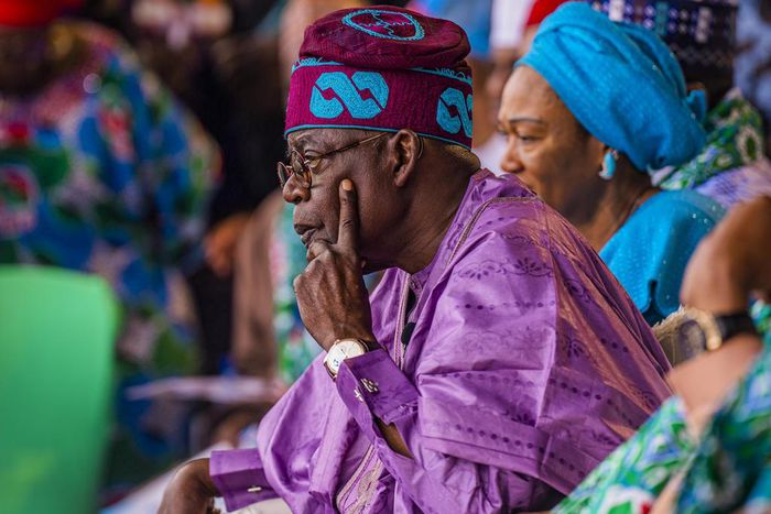 APC Presidential candidate Asiwaju Bola Tinubu. [Twitter:Sharksawn]