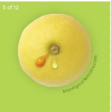 leaking lemons knowyourlemons.com