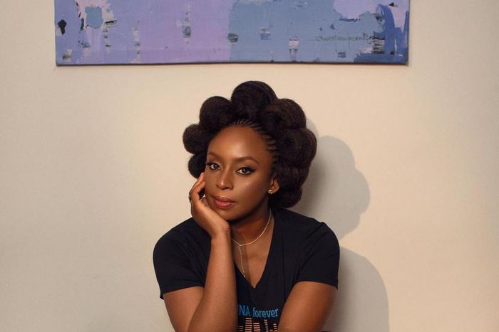 Chimamanda Adichie (mannyjefferson⁣Makeup)
