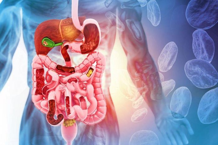 8 effective natural laxatives for stomach relief/Courtesy